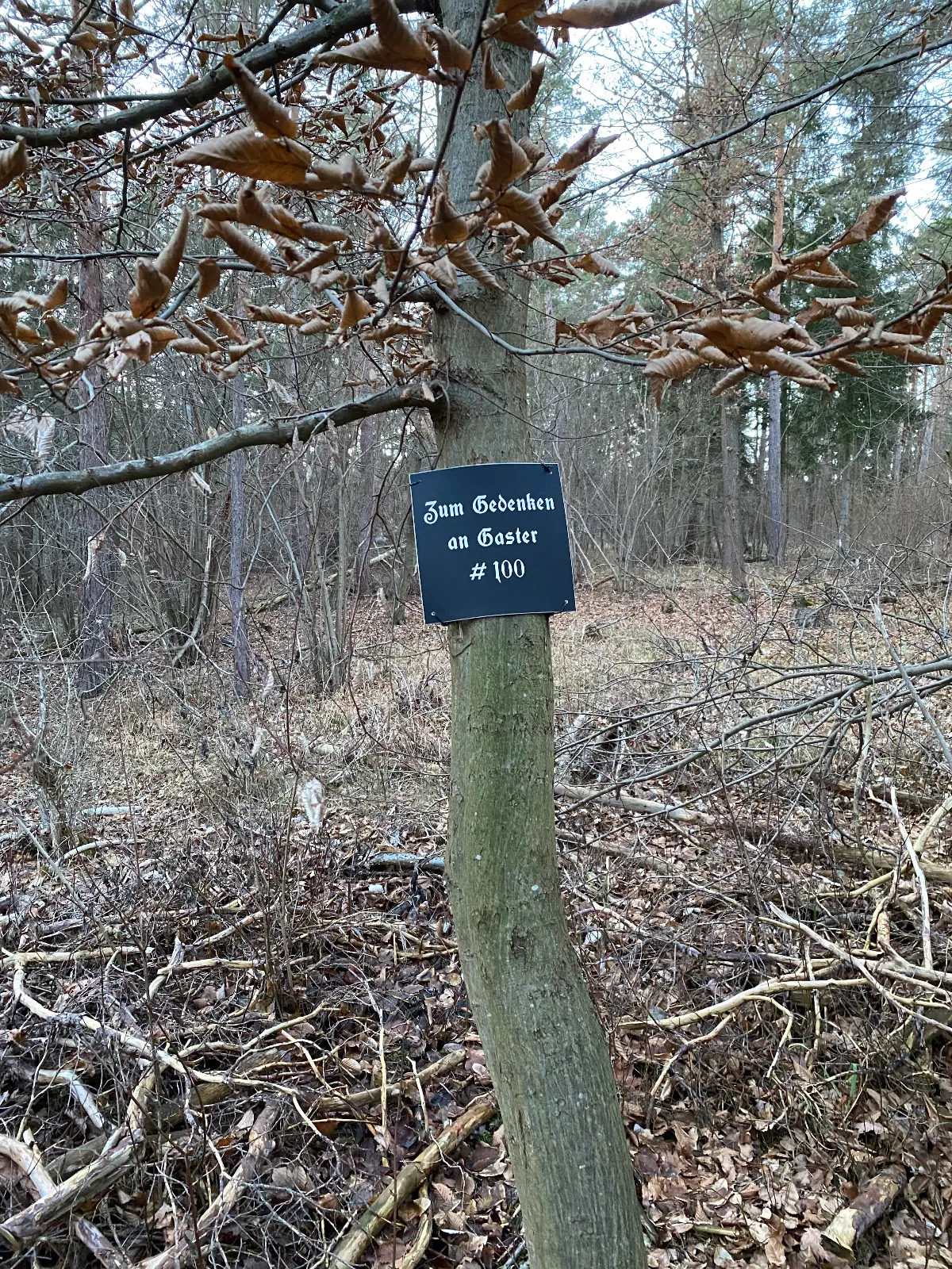 00C32514-C449-4D1C-B012-9FA2BAA46A32.jpeg