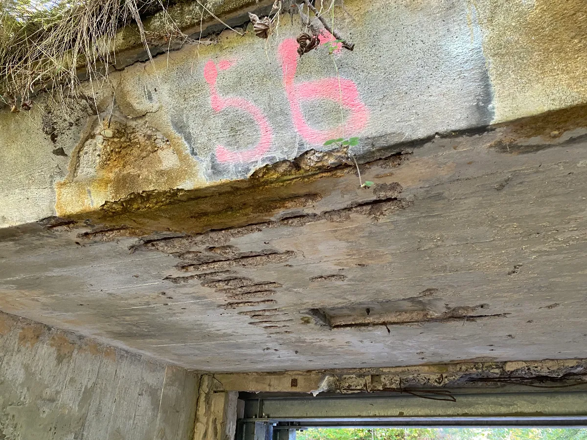 96E4D4AC-72C2-4BF0-B060-225BDB2221ED.jpeg