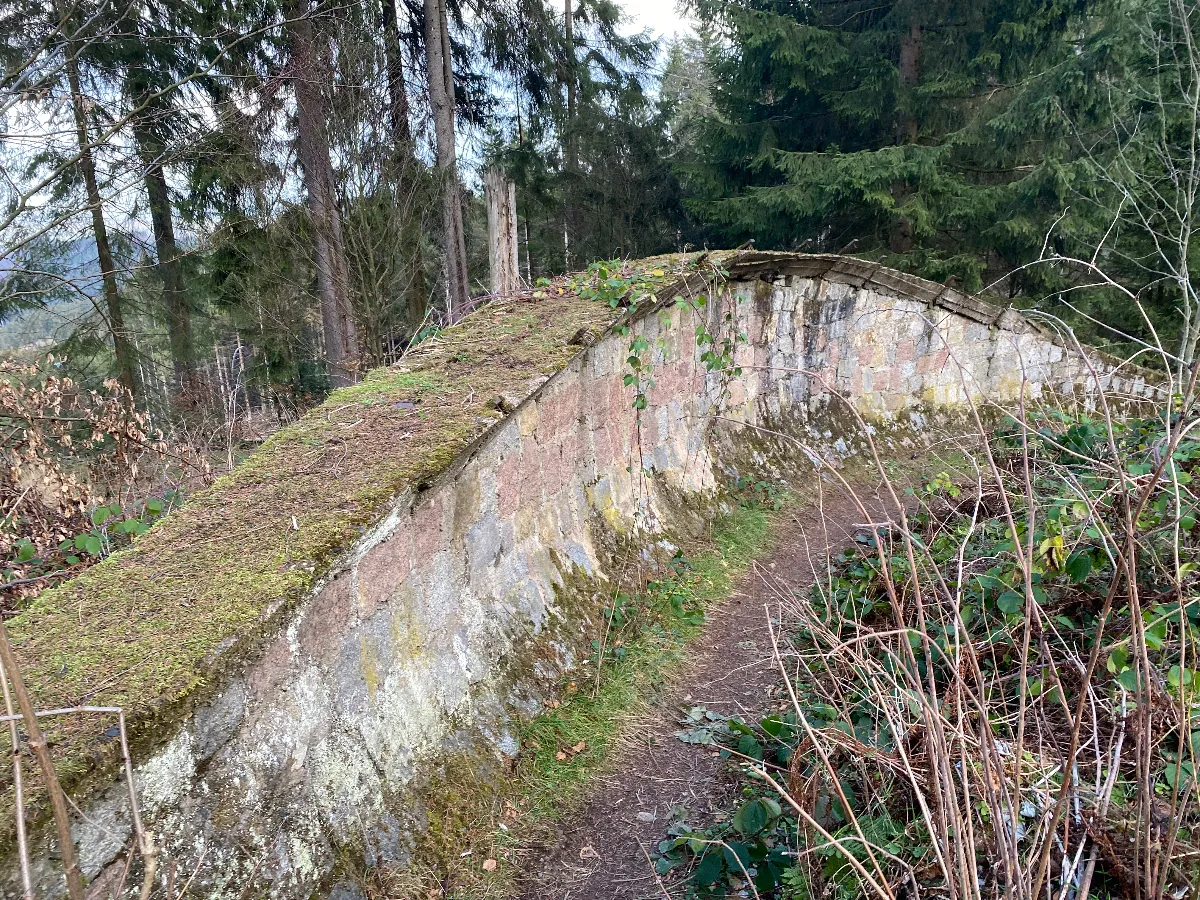 B5EDD336-2FD3-49FE-A62E-0EA5B8903146.jpeg
