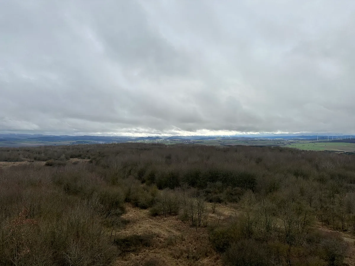 50C4C41D-AE69-407D-B7F0-822E3B5FD1F6.jpeg