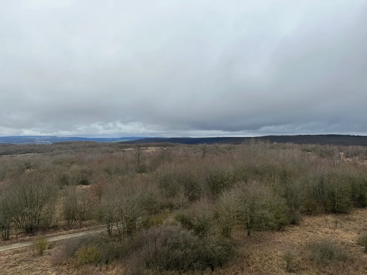 F8AAF647-4955-4081-8F16-D2884AD2862D.jpeg