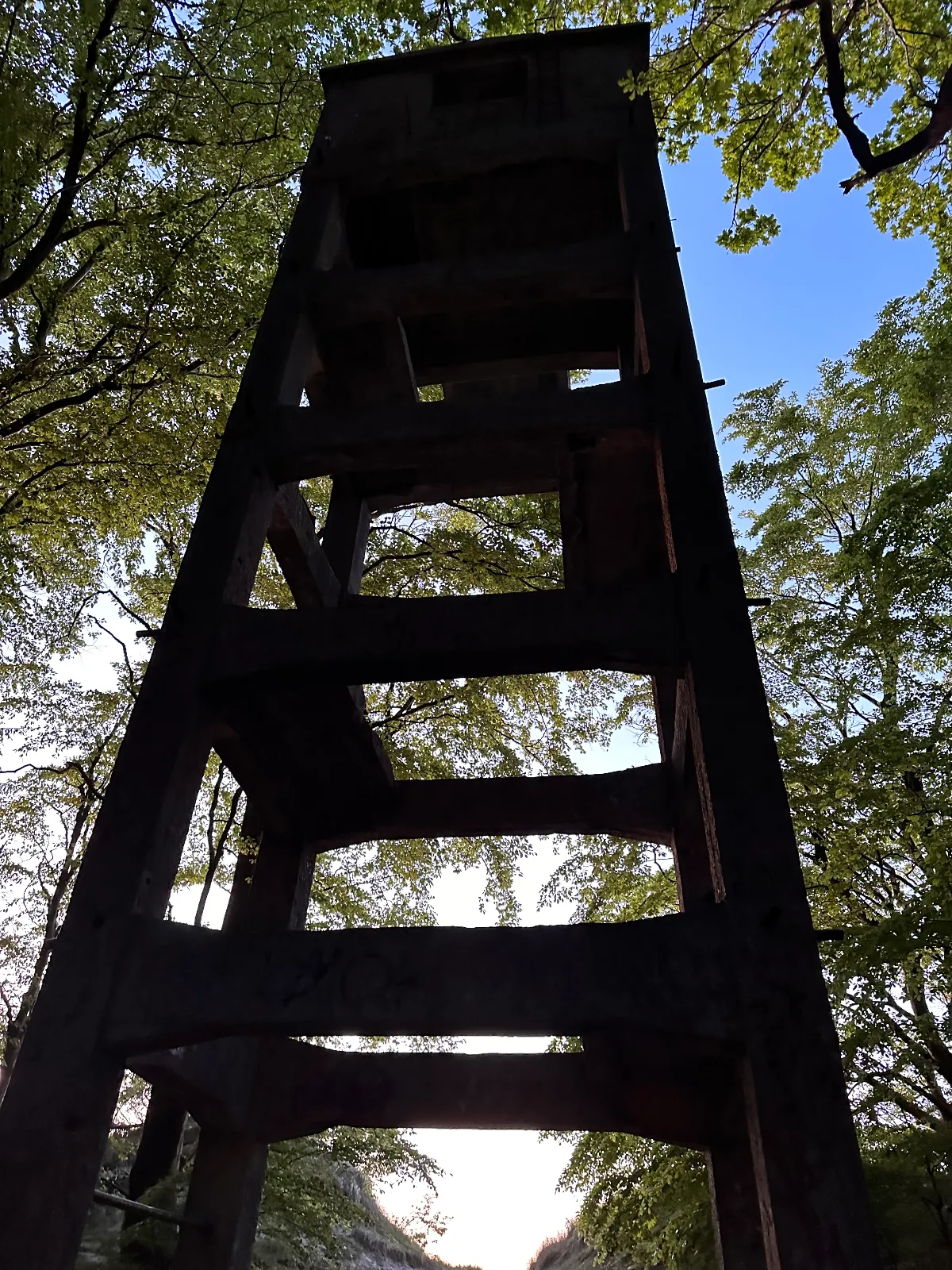 IMG_8218.jpeg