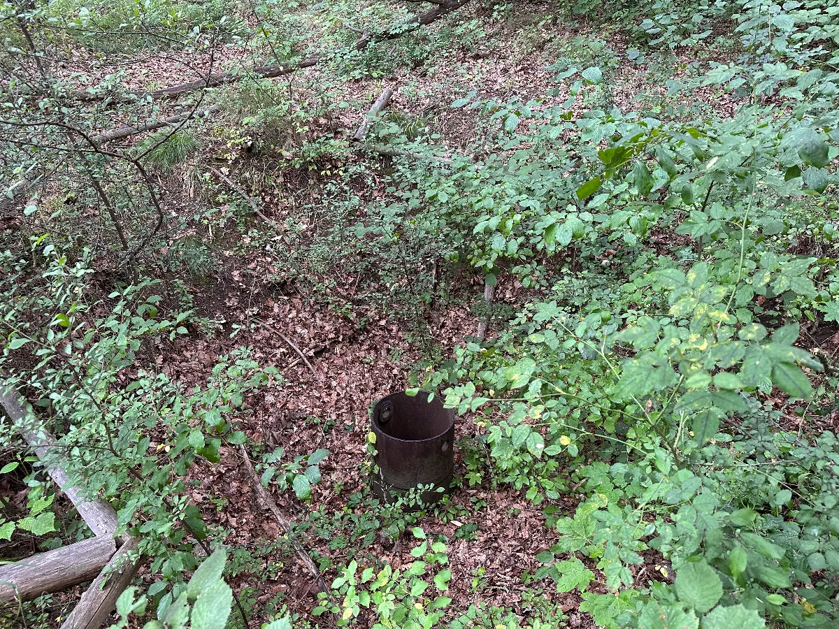 IMG_8606.jpeg
