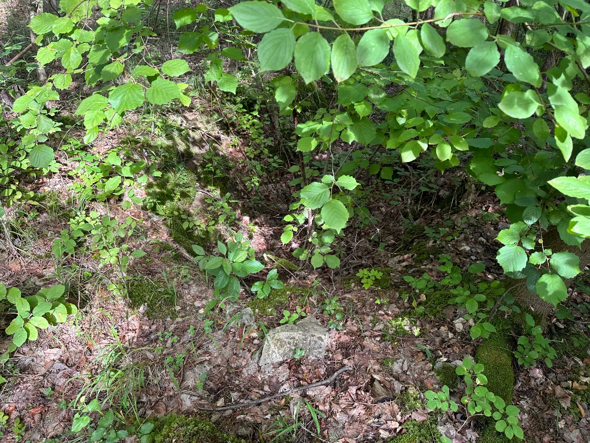 IMG_8666.jpeg