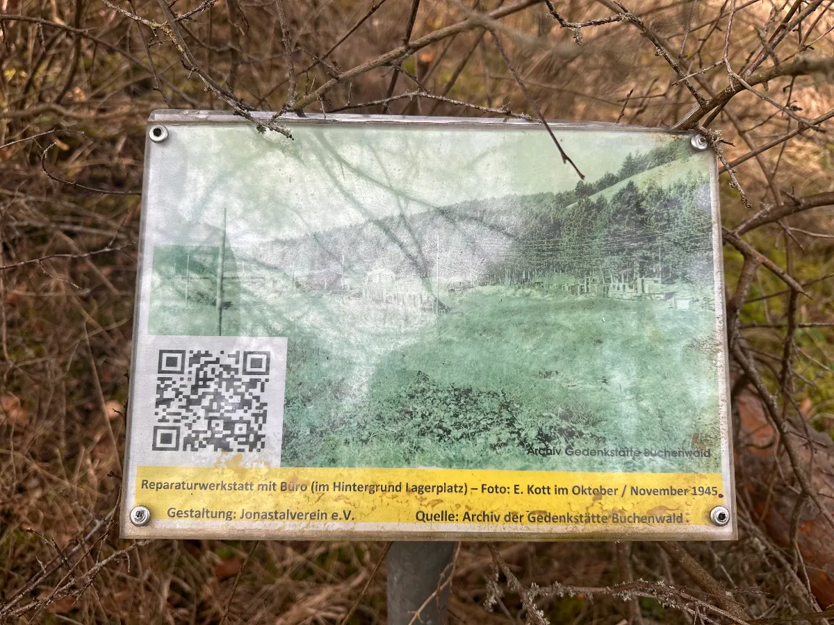 IMG_9647.jpeg
