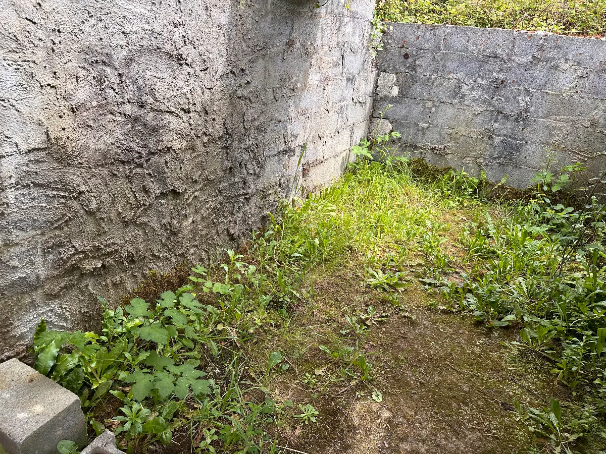 IMG_0155.jpeg