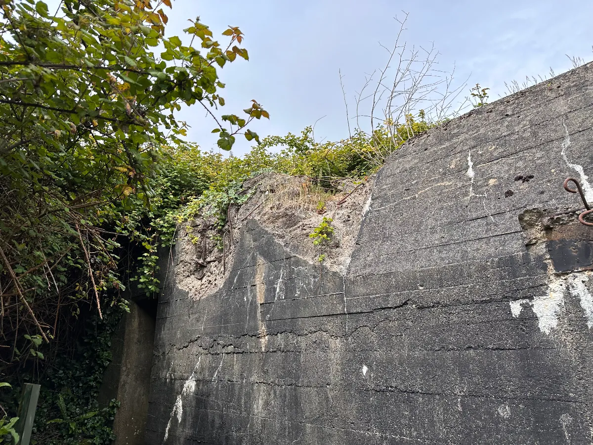 IMG_0167.jpeg