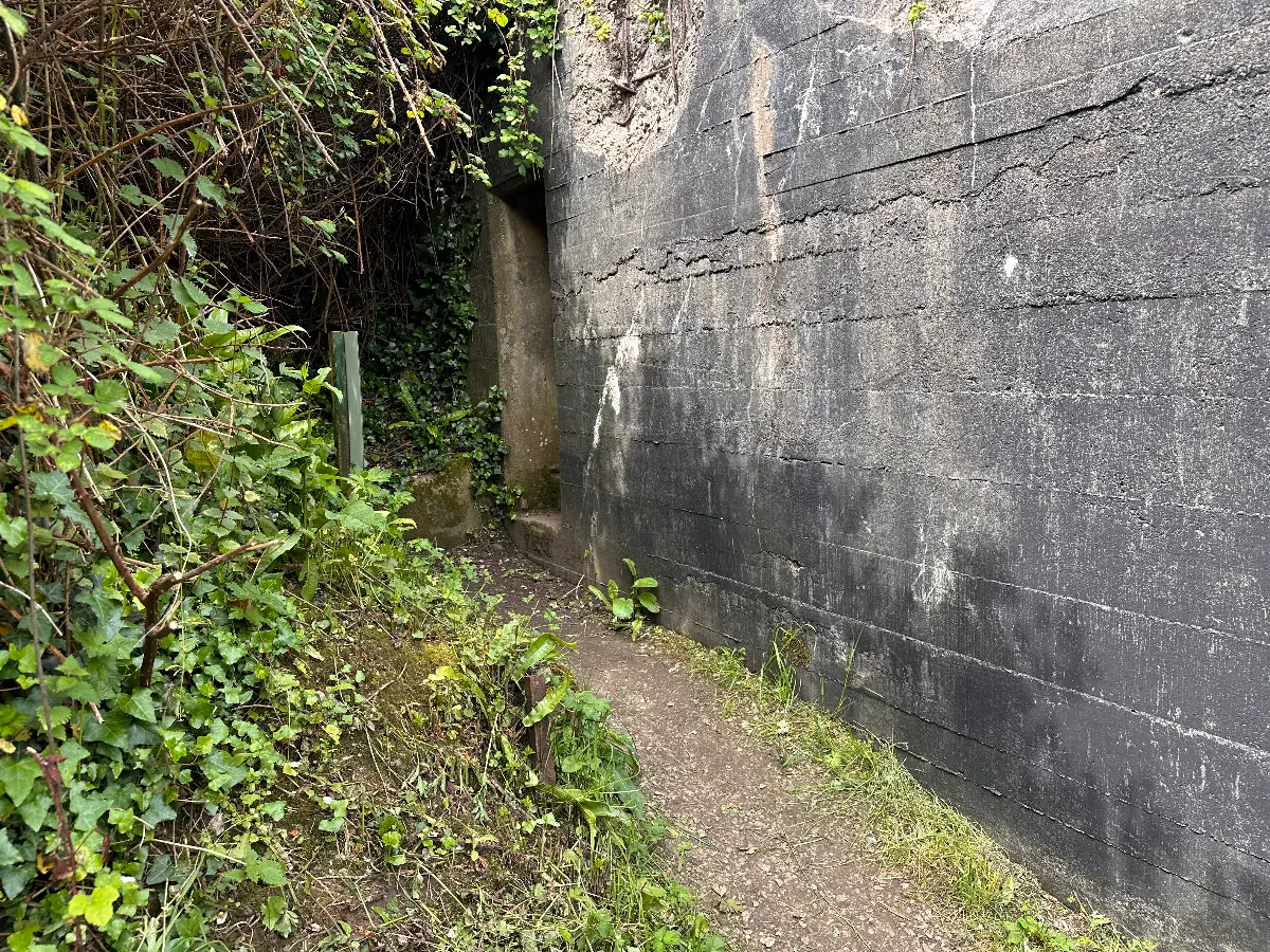 IMG_0168.jpeg