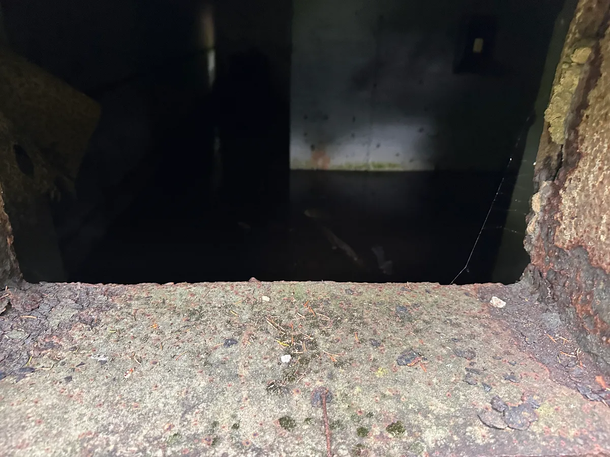 IMG_1669.jpeg